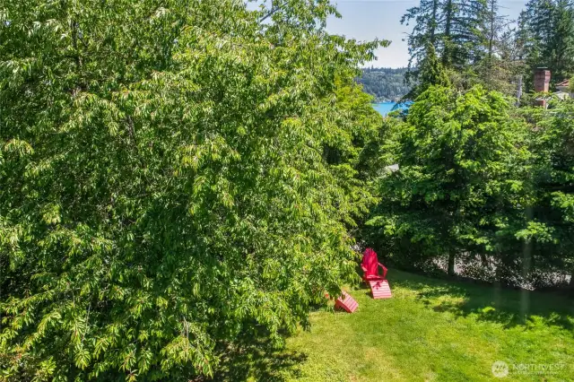 Surrounded by lush trees for privacy.