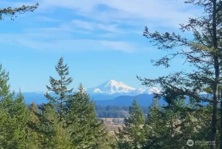 Well Hello Mt Baker!