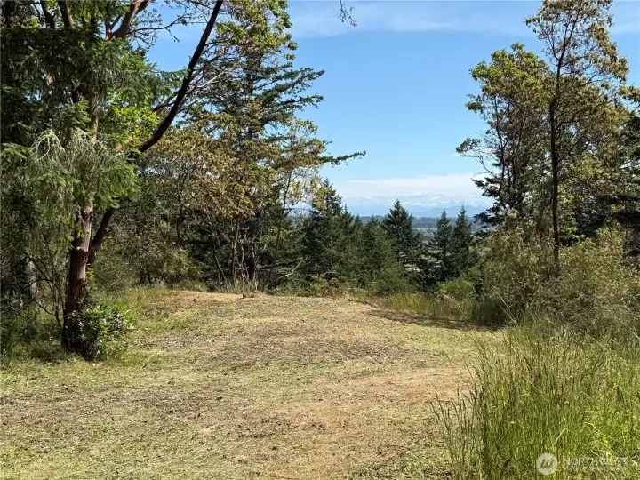 Nice level building site