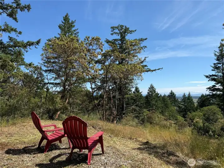 Surround yourself with nature