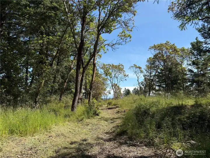 Path to potential second building site