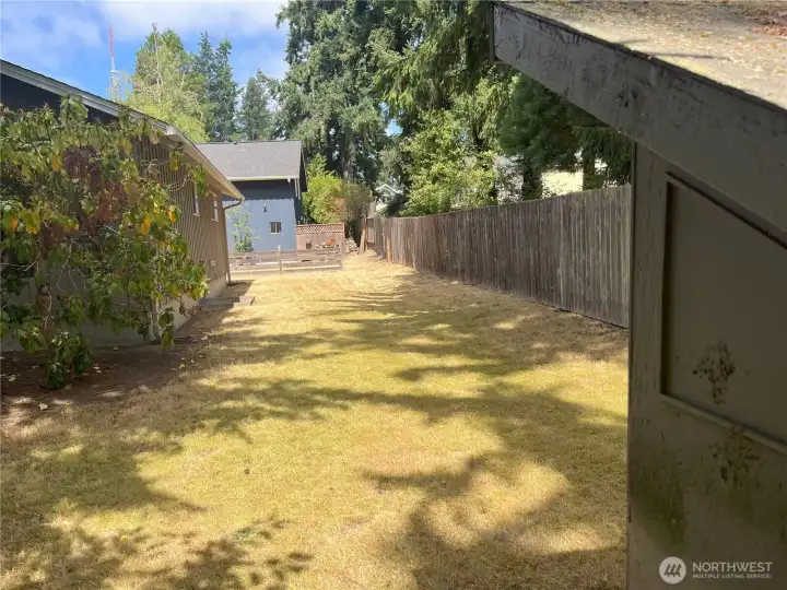 Side yard with shed