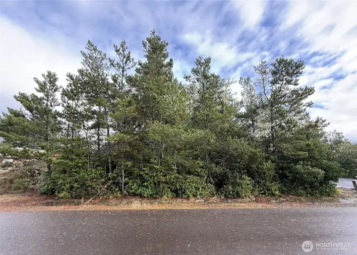 Bay front lot ready for your vision!