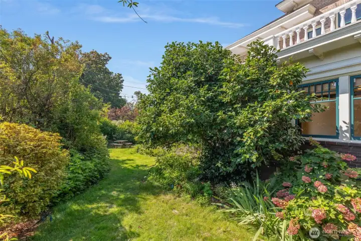 10,000 sq ft lot allows the house to be surrounded by foliage.