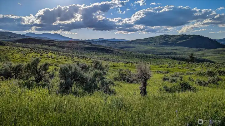 The ideal cabin footprint located right in the heart of the property. This western vantage point offers a dynamic landscape that changes with the light and the seasons. A perfect spot for those seeking privacy and a view that never gets old.