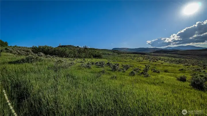Bathed in natural light. This Southwest vantage point offers maximum sun exposure and sweeping views of the valley floor. An ideal location for a solar-ready cabin or a garden that thrives in the long Okanogan afternoons.