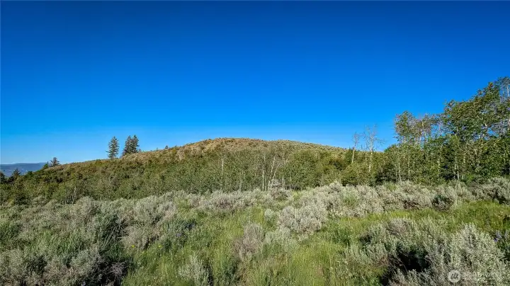 Versatility at its best. In addition to the southern flats, the center of the property offers this level clearing with views in every direction.. Ideal for a secondary cabin or a primary residence positioned to capture early light. Plenty of usable acreage here.