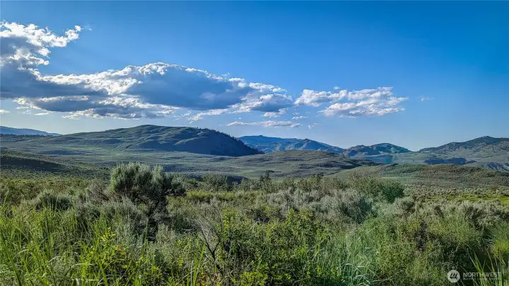 Experience the best of the Pacific Northwest. This central vantage point looks west over a sprawling spring landscape. A perfect, level building site to capture the golden hour and the seasonal beauty of the Okanogan Valley.