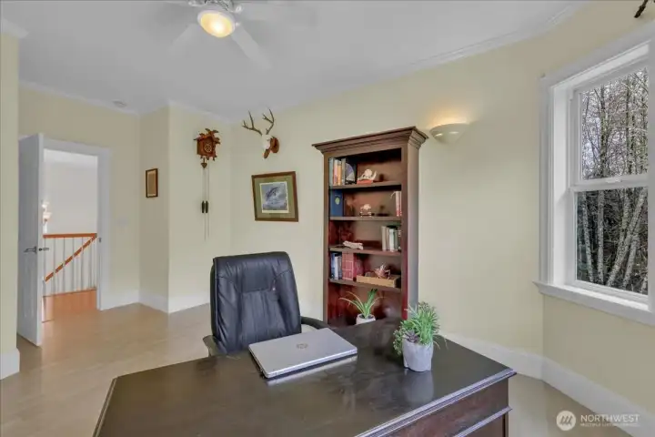 Looking the other direction in this bedroom you can see the crown molding and ceiling fan. Looking the other direction in this bedroom you can see the crown molding and ceiling fan.