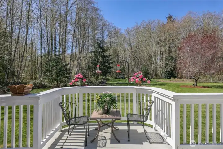 Watching humming birds is one of the many perks of this property! Watching humming birds is one of the many perks of this property!