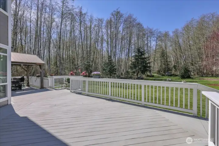 Look at the size of that deck! Look at the size of that deck!