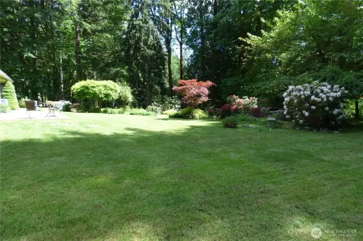 View of the backyard from the SW side.