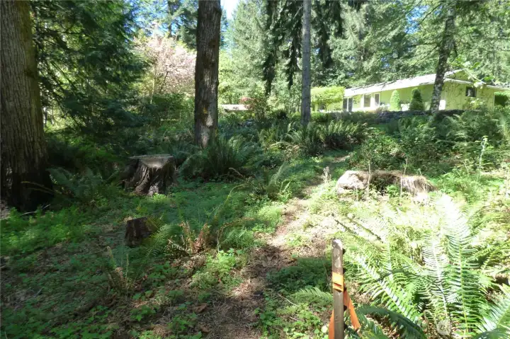 View of the back of your home from one of the property corners set on almost 3/4 acre.