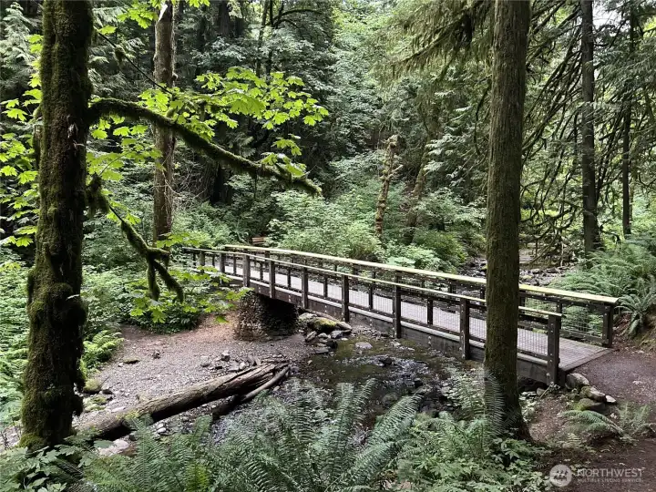 Just 3 miles down the road, is McLane Nature Trail that travels through wetland & forest & follows a pond & a creek where visitors may see beaver, salmon & other plants & wildlife. It is a 1.5-mile bisected loop trail, with options for a 0.6 mile loop and a 1.1 mile loop. The first portion is wheelchair accessible; the entire trail is mostly level & there are many benches along the way.