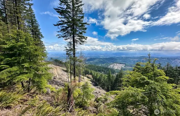 View from nearby Capital Peak  where you can access over the 110,000 acre National Forest where you can hike, camp overnight, ride horses, atvs or bikes on the 150 miles of trails.
