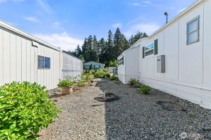 Side Yard