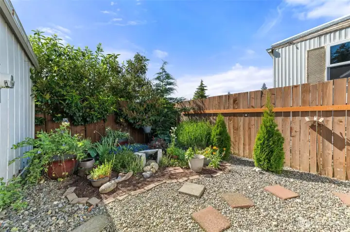 Back yard