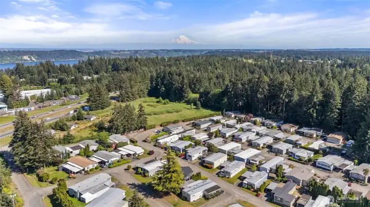 Aerial of park