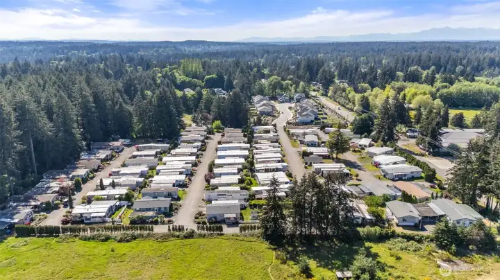 Aerial of park