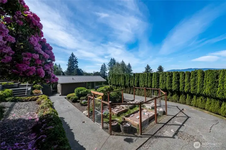 Garden area that was the old pool