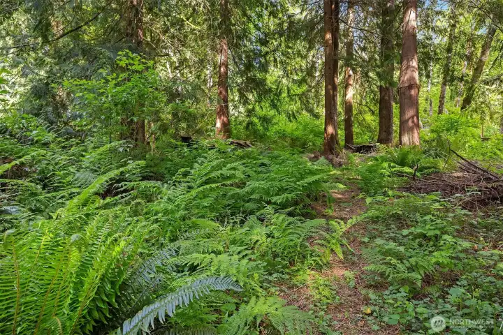You very own trail!