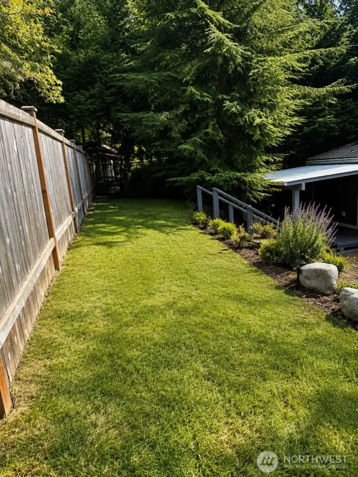 Back yard dog run