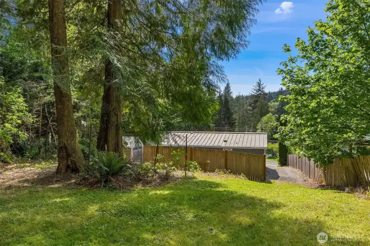 Looking towards the back patio and the fenced dog run.