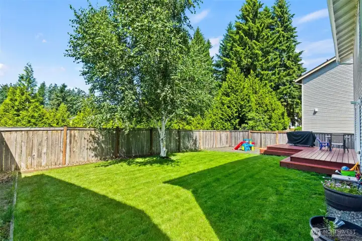 Back Yard