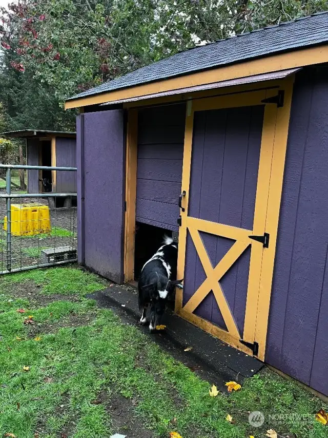 Goat Door