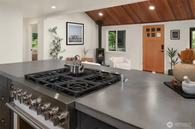 New 36" professional gas range