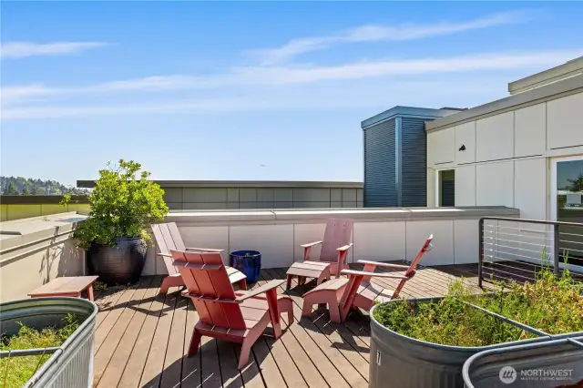 Pea Patch / Patio