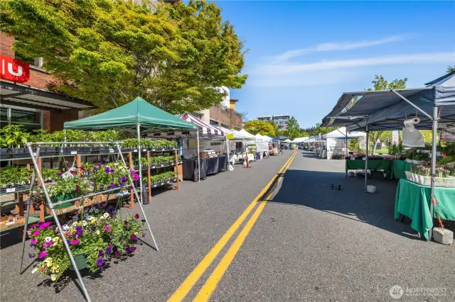 Farmer's Market