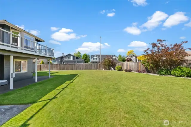 This yard is AMAZING!