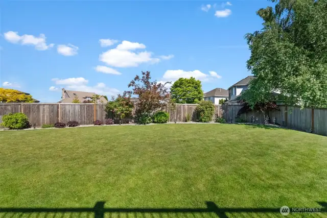 Huge yard for entertaining