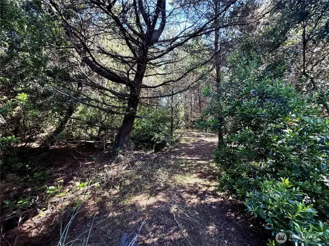 Adjoining lot, accessible via trail along the back of the property