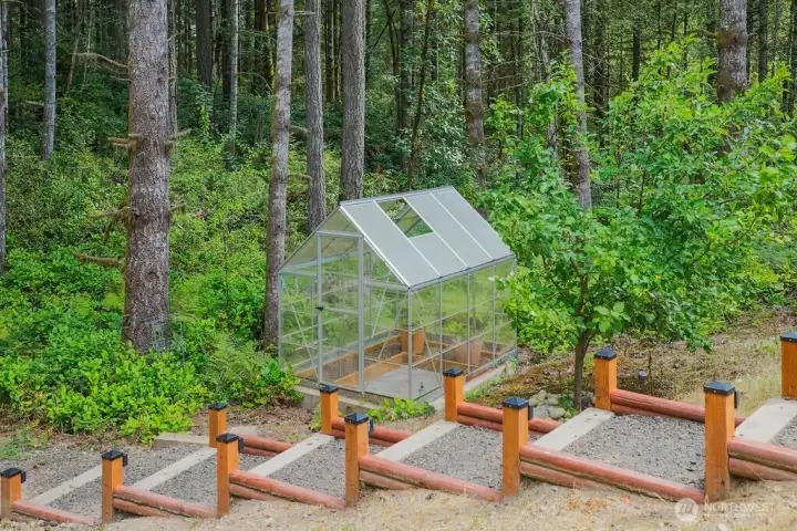 One the way to the barn... you will pass by the fruit tree's and the greenhouse.