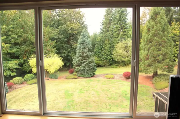 Views from the primary bdrm