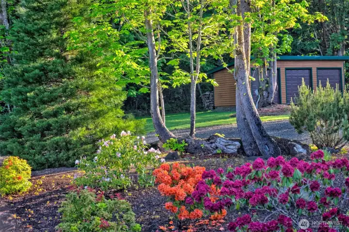 Colorful flora and fauna