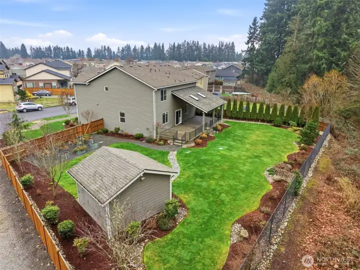 Full backyard view