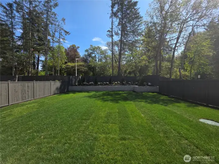 Actual backyard as of 5/2