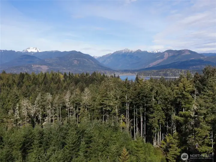 Potential balcony view