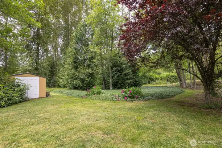 Established landscaping. Established landscaping.