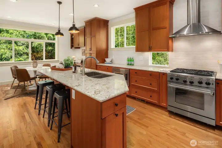 Gas range and stainless steel appliances