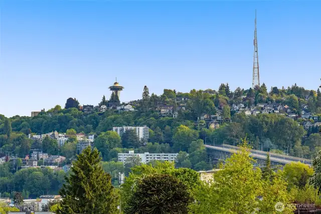 Glimpse the Space Needle rising from lush greenery—Wallingford's elevated charm is on display.