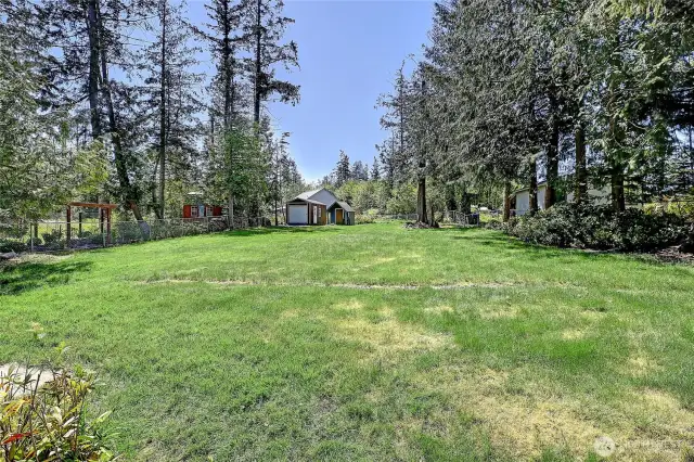 Beautiful Back Yard