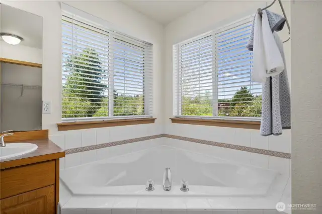 Primary Ensuite Soaker Tub