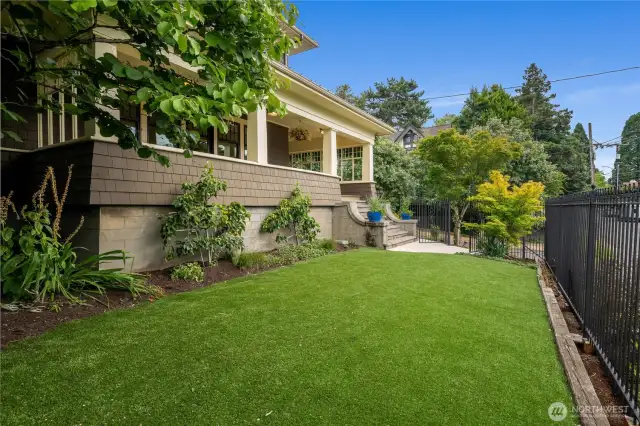 Front yard, perched above street level