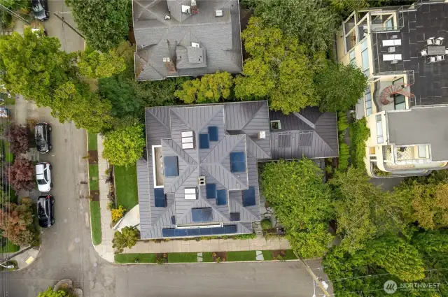 Bird's eye