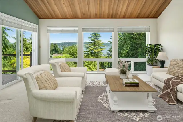 Rich Wood ceilings