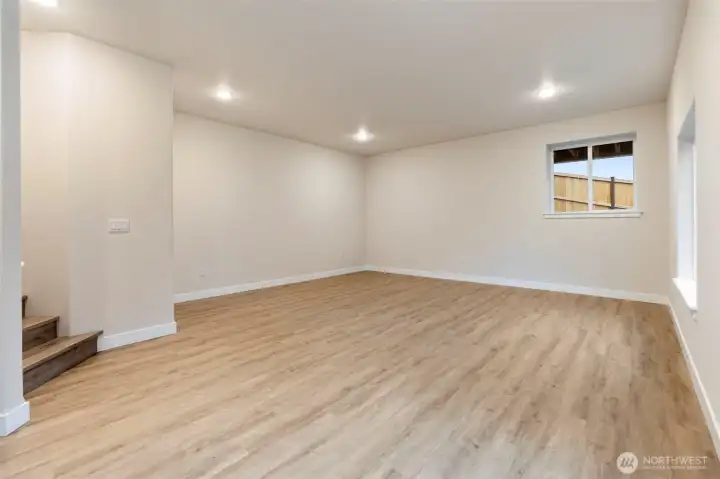 Basement living area